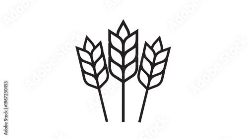 Wheat stalks line icon with three ears of grain on white background representing harvest and agriculture.