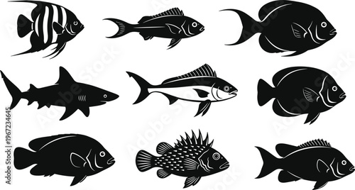 Black silhouette fish vector set featuring nine diverse aquatic species with unique fin shapes, body outlines, marine wildlife, and ocean life illustration