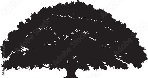 Black silhouette of a tree with dense foliage white background
