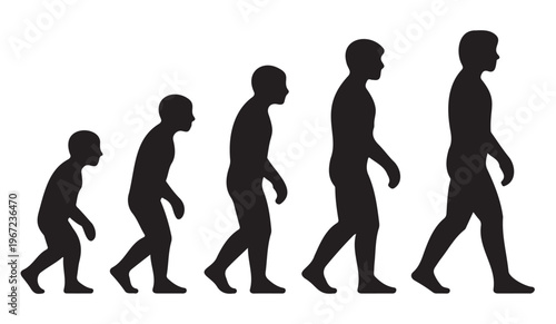 Human Evolution Silhouettes Walking Vector on a White Background