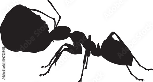 Black silhouette of an ant insect six legs