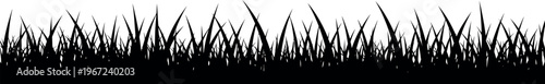 Black silhouette of grass blades for design
