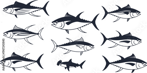 Collection of black and white tuna fish illustrations with a single hammerhead shark