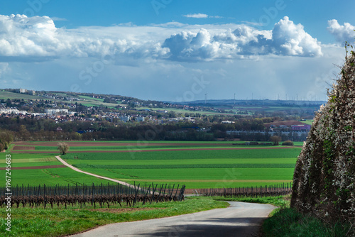 Horizontal countryside road through fields and vineyards with distant town.