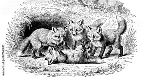 A group of curious young foxes gathered around a fallen companion in a natural setting