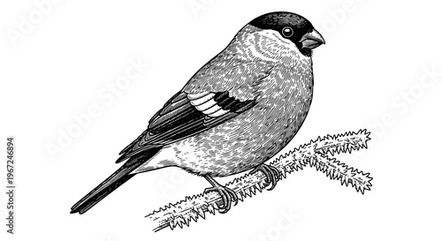 Detailed Illustration of a Small Bird Perched on Branch