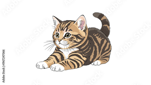 Adorable brown tabby kitten with dark stripes and white paws stretches playfully while looking forward in a detailed animal illustration.