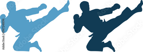 Two martial arts silhouettes kicking in different shades of blue