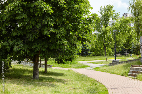 Recreation place in the city park at summer