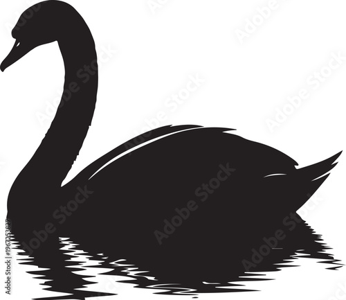 Black swan silhouette floating on water bird