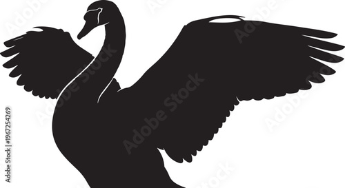 Black swan silhouette with wings spread bird