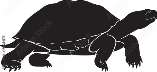 Black turtle silhouette walking right white background