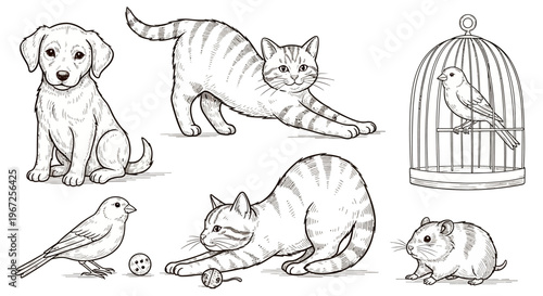 Pencil Drawings of Various Domestic Pets.