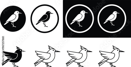 Bird Icon Set Featuring Black And White Sparrow Silhouette Outline And Filled Styles Minimal Animal Illustration Collection