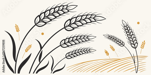 Stylized wheat ears grain harvest set in line and solid forms minimalistic vector illustration cereal plant agriculture design element for organic food packaging farm product branding healthy life.ico