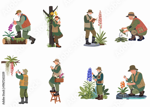 Set of senior botanists and researchers studying and documenting various orchid species in a natural field environment, illustrating plant science and conservation.