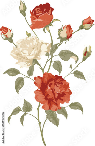 Vintage rustic red white rose garden botanical illustration, garden rose floral gouache hand painting, transparent vector romantic art for card poster stationery graphic design, vintage muted palette