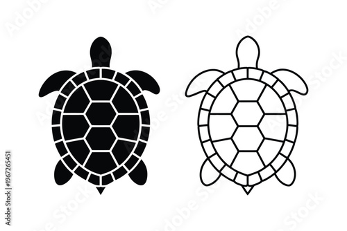 turtle shell anatomy comparison illustration, educational diagram comparing carapace and plastron structures with internal bone layout for biology research zoology study and scientific vector design.