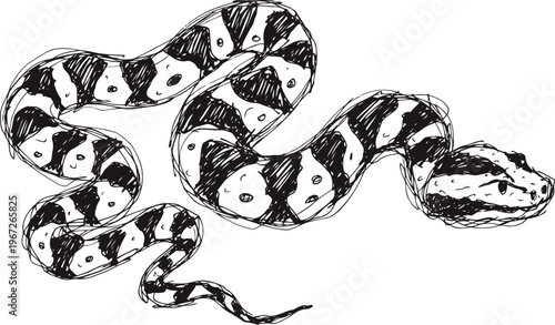 Black and white sketch of a coiled snake with detailed scales and patterns in a realistic