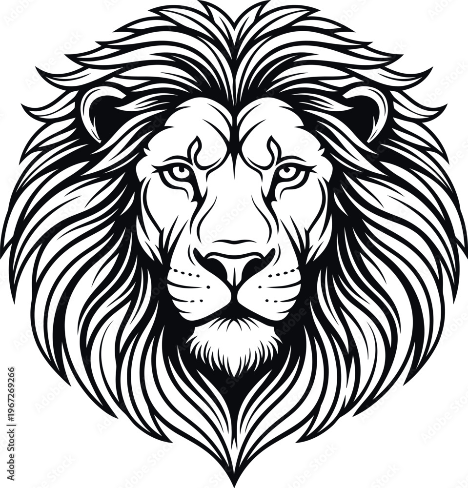 Obraz premium Adobe Illustrator Artwork