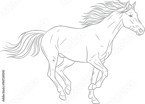 A beautiful and powerful line art illustration of a majestic horse in full gallop, showcasing its incredible strength, elegance, and freedom with a flowing mane and tail.