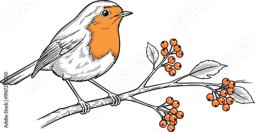 A beautiful european robin redbreast bird with an orange chest perches peacefully on a small tree branch adorned with vibrant red berries and green leaves in a charming nature illustration.