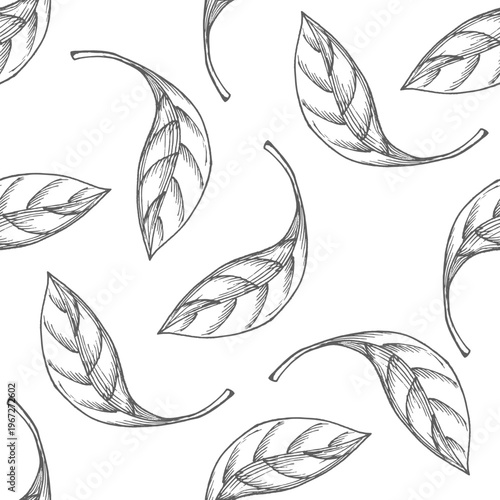 Seamless pattern of leaves. Vector ink styled handmade illustration. For packaging design, cards, cover, prints, product labels and fabric.