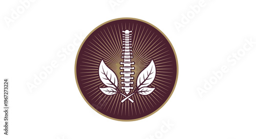 Chiropractic spine and leaf logo design.