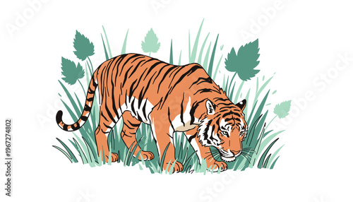 Bengal Tiger Illustration Walking Through Tall Grass in the Wild Jungle