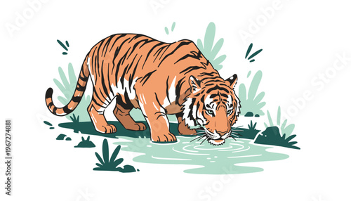 Tiger Drinking Water Illustration Isolated on White Background Vector Art