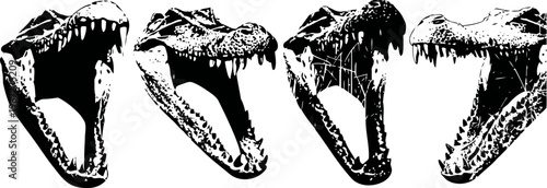 Four black and white alligator jaws illustrations showing various open mouth angles and teeth details