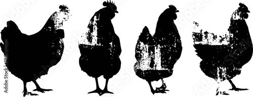 grunge silhouette set of chickens in various poses, rustic farm animal illustrations