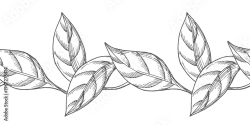 Seamless border of the leaves. Vector ink styled handmade illustration. For packaging design, cards, cover, prints, product labels and fabric.