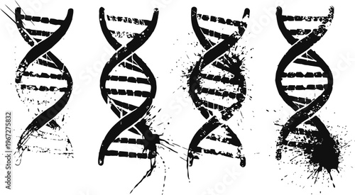 Grunge dna double helix set black distressed genetic spiral icons scientific and biology concept