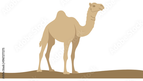 A camel silhouette standing on a desert hill illustration