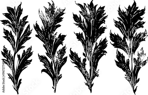 Four ornamental vintage floral leaves decorative retro botanical foliage silhouettes for design and engraving