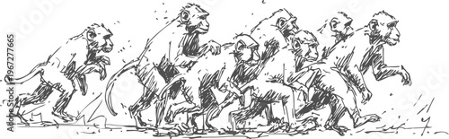 evolution of monkey to early human hand drawn progression showing growth and transformation stages