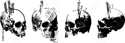 four antique human skull illustrations in black and white, side and front views