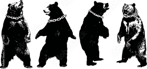 four black grizzly bear silhouettes standing in various poses isolated on white background