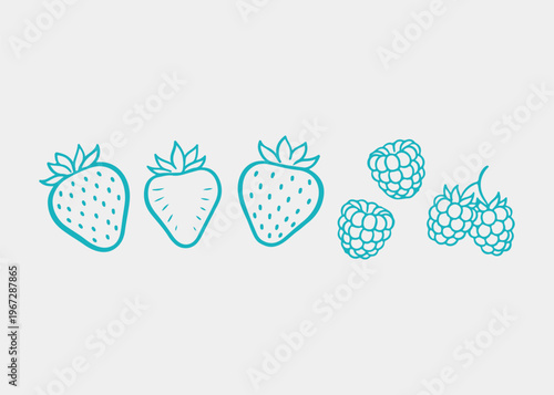 Berries line drawing set with strawberry and raspberry