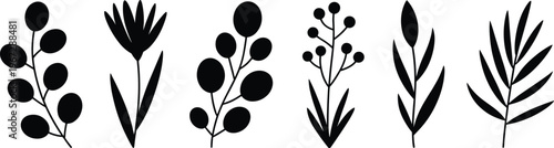Set of Black Silhouette Botanical Elements and Leaves on White Background Keywords: silhouette, botanical, plant, leaf, branch