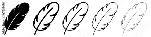 Set of black feathers in various styles: from solid silhouette to thin outline, isolated on a white background. Vector illustration.