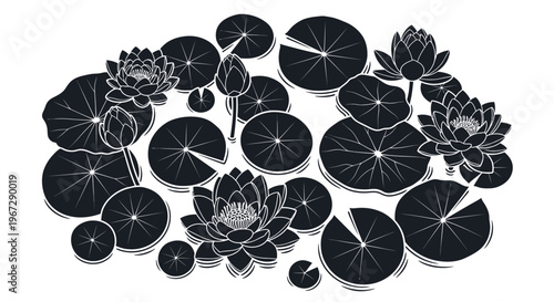 Black lotus flowers and lily pads.