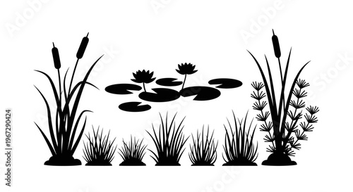 Black silhouette of aquatic plants.
