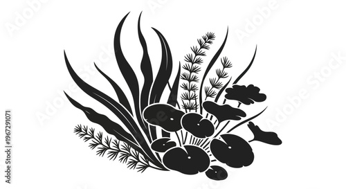 Black and white seaweed illustration art.