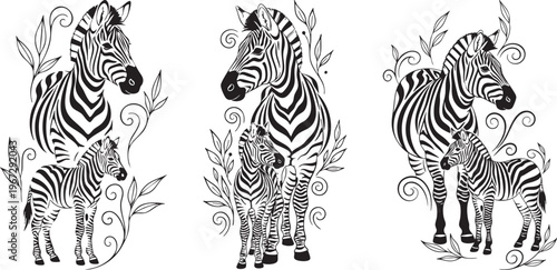 Photography Zebra Family Vector Illustration Set, Wild African Animals Decorative Line Art