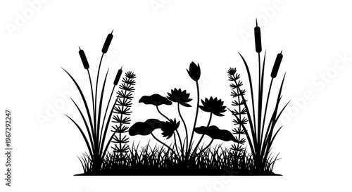 Black silhouette of aquatic plants.