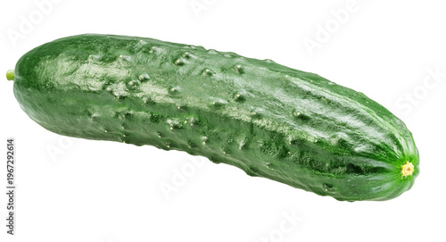Fotografía One fresh green cucumbers isolated on a white background.