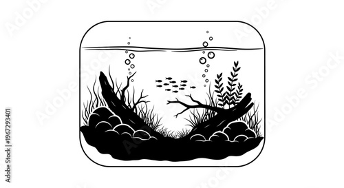 Fish swimming in aquarium tank water.