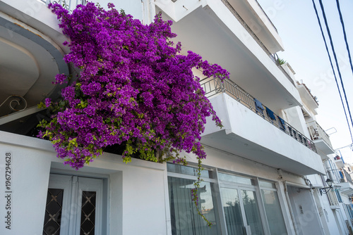 The town of Skiathos, Sporades, Thessaly, Greece